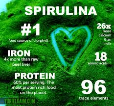 spirulina5
